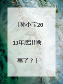 孙小宝2013年底出啥事了？