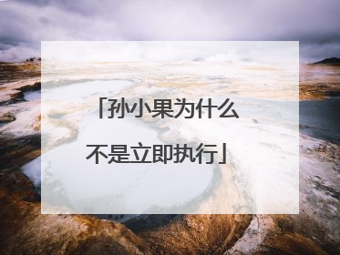 孙小果为什么不是立即执行