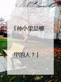 孙小果是哪里的人?