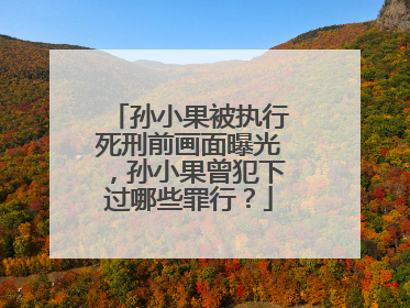 孙小果被执行死刑前画面曝光,孙小果曾犯下过哪些罪行?