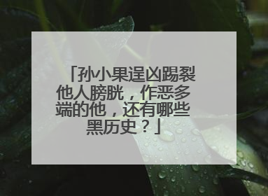 孙小果逞凶踢裂他人膀胱,作恶多端的他,还有哪些黑历史?