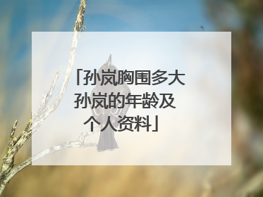 孙岚胸围多大 孙岚的年龄及个人资料