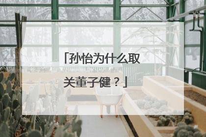 孙怡为什么取关董子健？