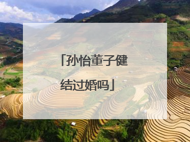 孙怡董子健结过婚吗