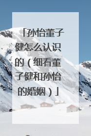 孙怡董子健怎么认识的(细看董子健和孙怡的婚姻)