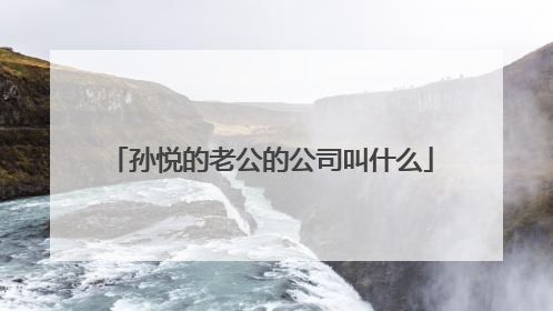 孙悦的老公的公司叫什么