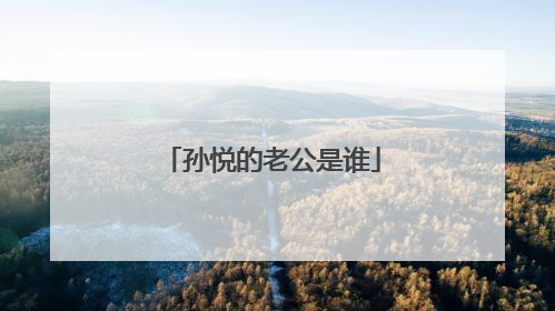 孙悦的老公是谁