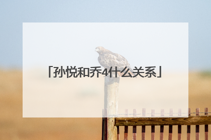 孙悦和乔4什么关系