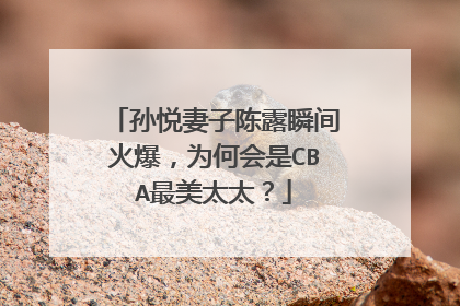 孙悦妻子陈露瞬间火爆，为何会是CBA最美太太？