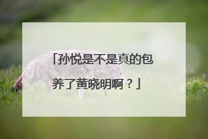 孙悦是不是真的包养了黄晓明啊？