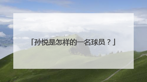 孙悦是怎样的一名球员？