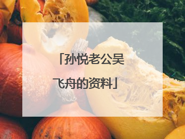 孙悦老公吴飞舟的资料