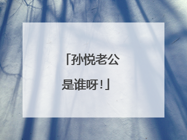 孙悦老公是谁呀!