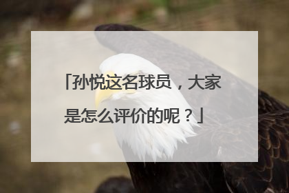 孙悦这名球员，大家是怎么评价的呢？
