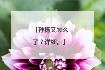 孙扬又怎么了？详细。