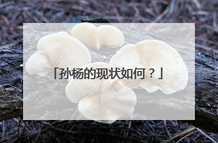 孙杨的现状如何？