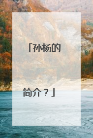 孙杨的简介？