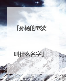 孙杨的老婆叫什么名字