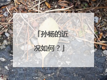 孙杨的近况如何？