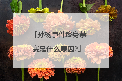 孙杨事件终身禁赛是什么原因?