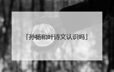 孙杨和叶诗文认识吗