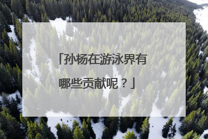 孙杨在游泳界有哪些贡献呢?