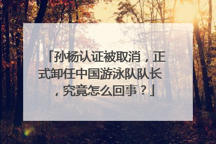 孙杨认证被取消，正式卸任中国游泳队队长，究竟怎么回事？