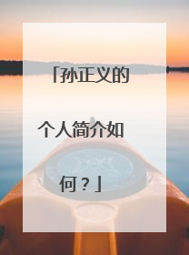 孙正义的个人简介如何？