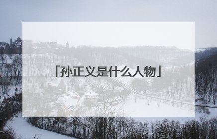 孙正义是什么人物