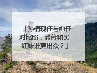 孙楠现任与前任对比照,潘蔚和买红妹谁更出众?