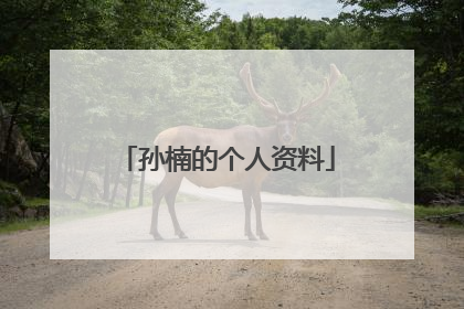 孙楠的个人资料