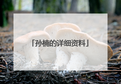 孙楠的详细资料