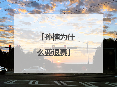 孙楠为什么要退赛