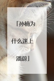 孙楠为什么迷上潘蔚