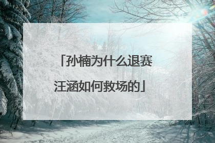 孙楠为什么退赛汪涵如何救场的