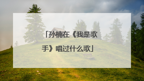 孙楠在《我是歌手》唱过什么歌