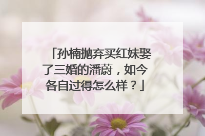 孙楠抛弃买红妹娶了三婚的潘蔚，如今各自过得怎么样？