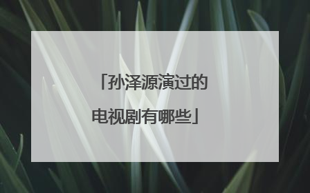 孙泽源演过的电视剧有哪些