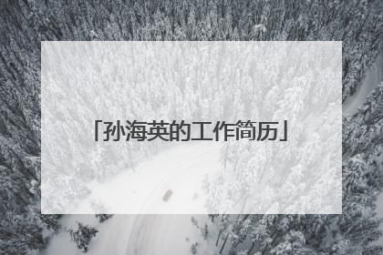 孙海英的工作简历