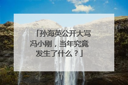 孙海英公开大骂冯小刚，当年究竟发生了什么？