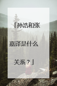 孙浩和张嘉译是什么关系?