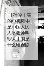 孙淳主演的电视剧中是中国人民大学老师叫罗大正的是什么电视剧