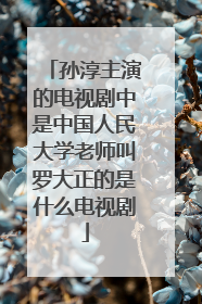 孙淳主演的电视剧中是中国人民大学老师叫罗大正的是什么电视剧