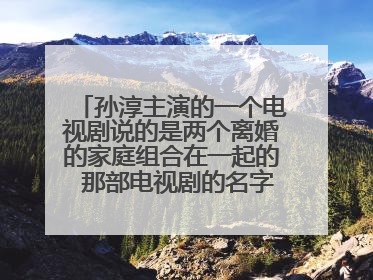 孙淳主演的一个电视剧说的是两个离婚的家庭组合在一起的 那部电视剧的名字 几年前在安徽卫视播过的
