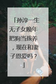 孙淳一生无子女晚年把狗当孩养，现在和妻子恩爱吗？