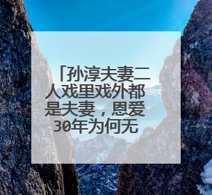 孙淳夫妻二人戏里戏外都是夫妻，恩爱30年为何无子女？