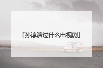 孙淳演过什么电视剧