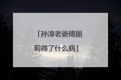 孙淳老婆傅丽莉得了什么病