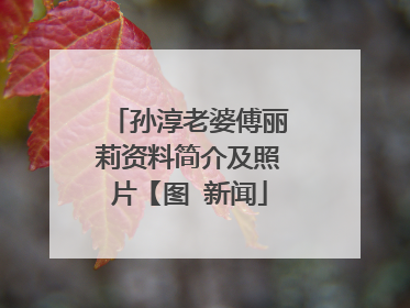 孙淳老婆傅丽莉资料简介及照片【图 新闻