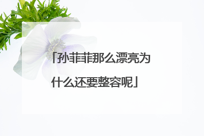 孙菲菲那么漂亮为什么还要整容呢